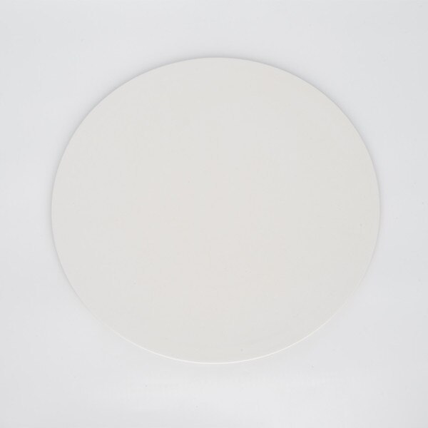 Image of White Speckled Glaze Flat Plate 10" 2