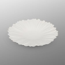 White Speckled Glaze Gerbera Plate 6.75"