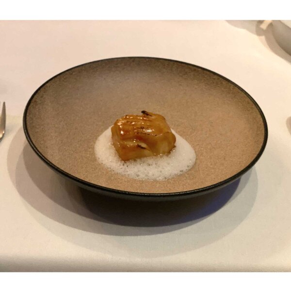 Image of Tamamo Brown Coupe Bowl 9" 5