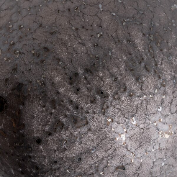 Image of Sho Lidded Bowl 3.75" 7