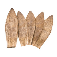 Dry Bamboo Skin