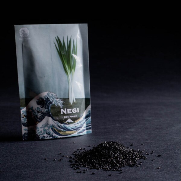 Image of Bunching Onion Negi W5 Seeds (250 seeds/pack) 1
