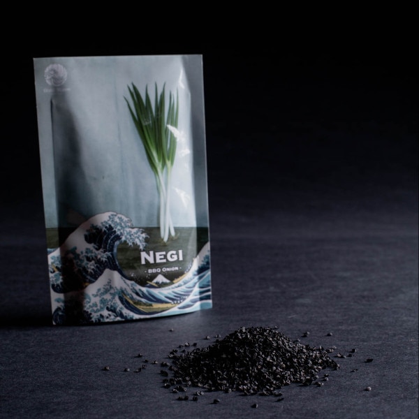 Image of Bunching Onion Negi S8 Seeds (250 seeds/pack) 1