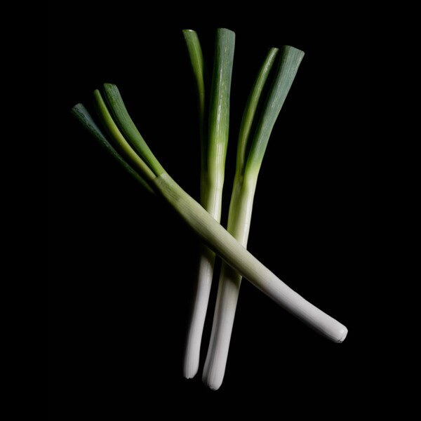 Image of Bunching Onion Negi S8 Seeds (250 seeds/pack) 6