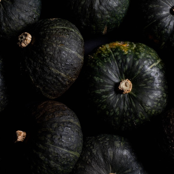 Image of Squash Zuccuri 7 Seeds (25 seeds/pack) 4
