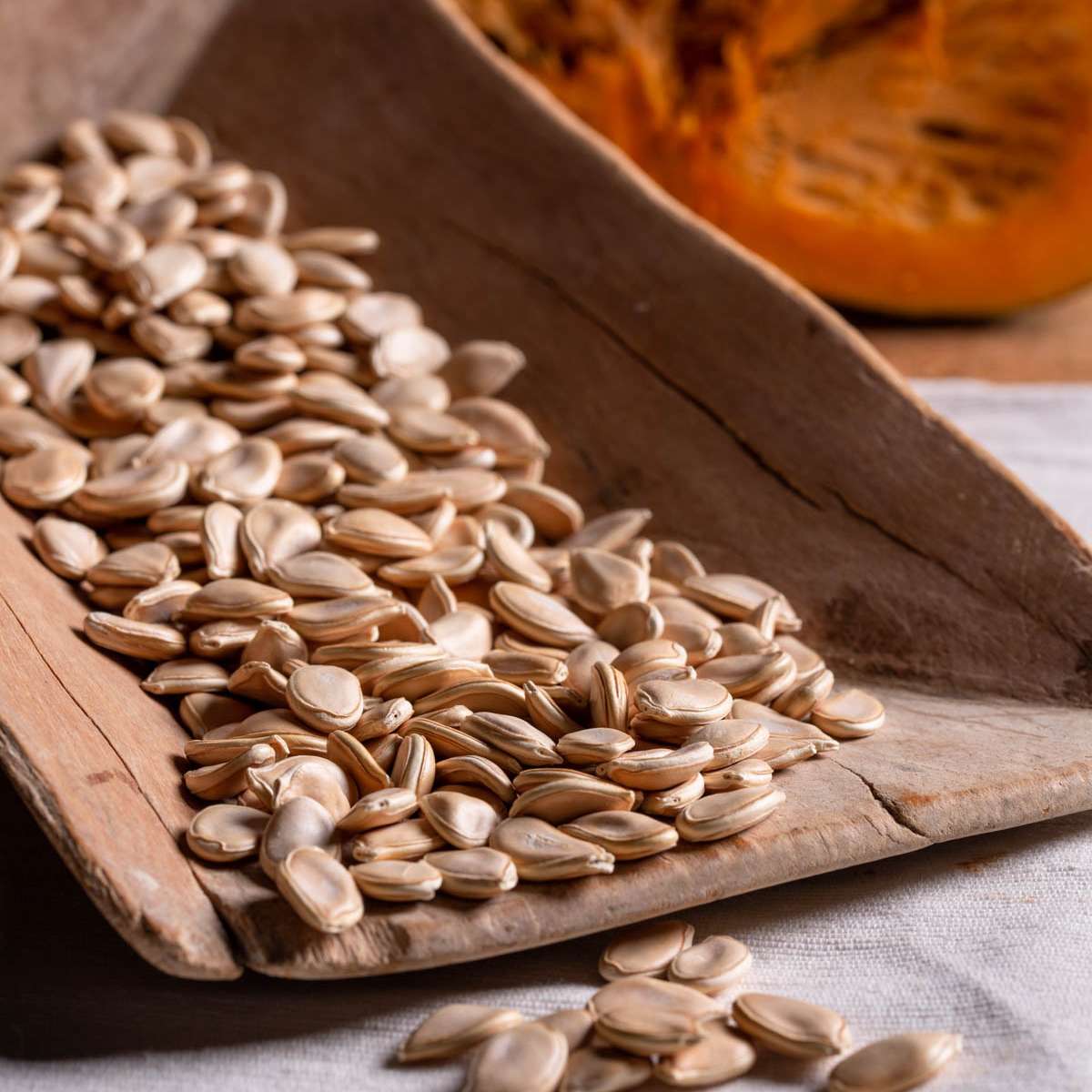 Squash Zuccuri 9 Seeds (25 seeds/pack) | Korin