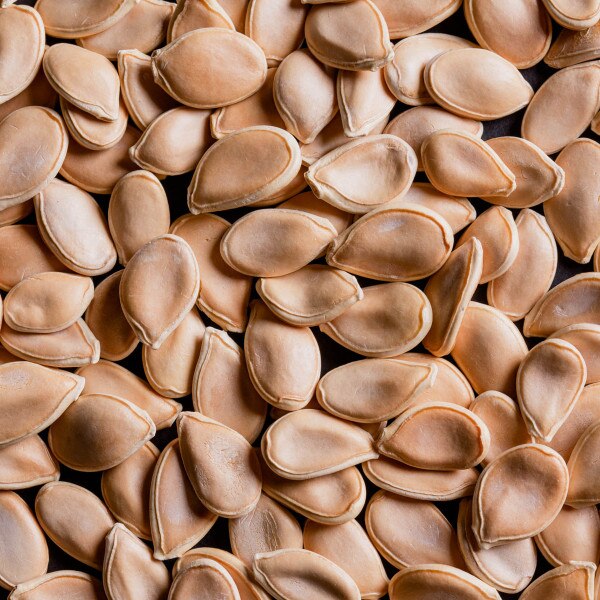 Image of Squash Zuccuri 9 Seeds (25 seeds/pack) 3