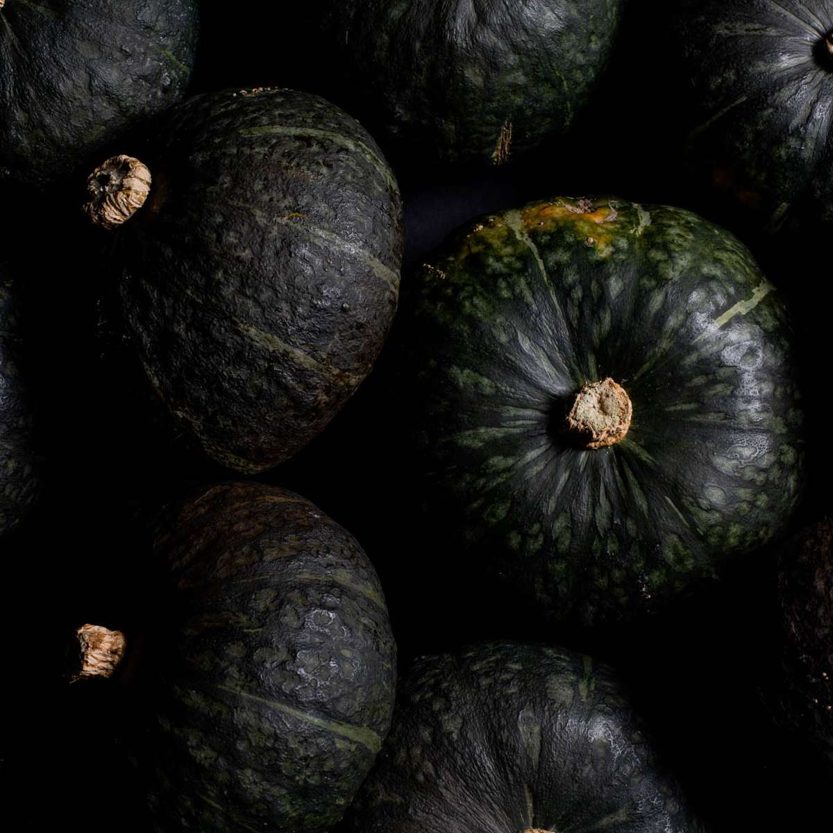 Squash Zuccuri 9 Seeds (25 seeds/pack) | Korin