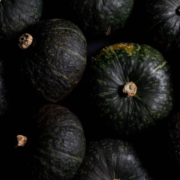 Image of Squash Zuccuri 9 Seeds (25 seeds/pack) 4