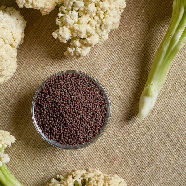 Image of Cauliflower Fioretto 85 Seeds (50 seeds/pack) 2