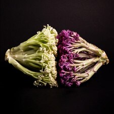 Cauliflower Murasaki Fioretto 70 Seeds (25 seeds/pack)