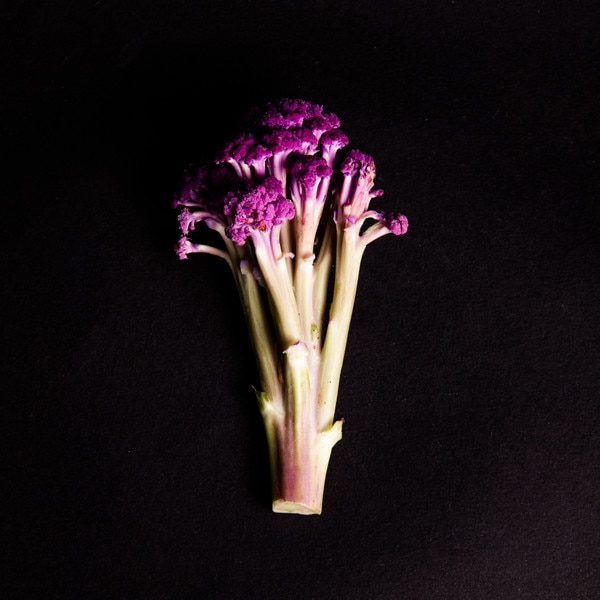 Image of Cauliflower Murasaki Fioretto 70 Seeds (25 seeds/pack) 2