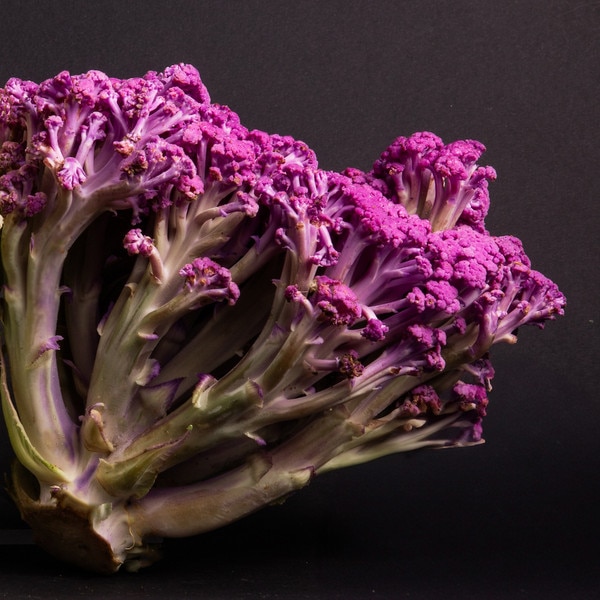 Image of Cauliflower Murasaki Fioretto 70 Seeds (25 seeds/pack) 3