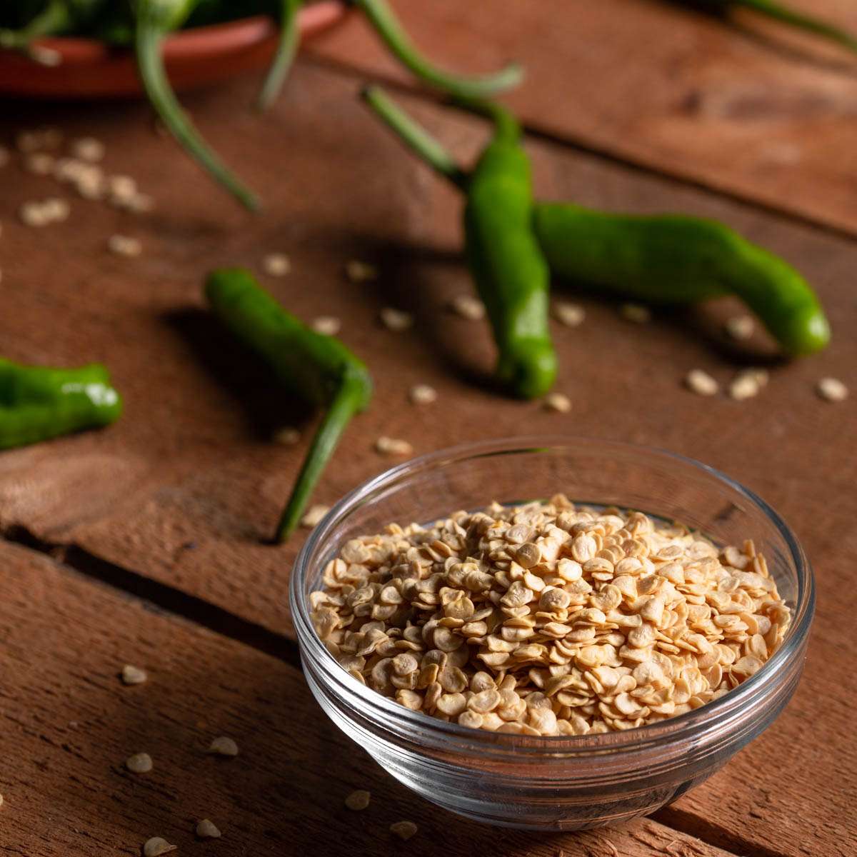 Pepper Shishimai: Thailand Seeds (25 seeds/pack) | Korin