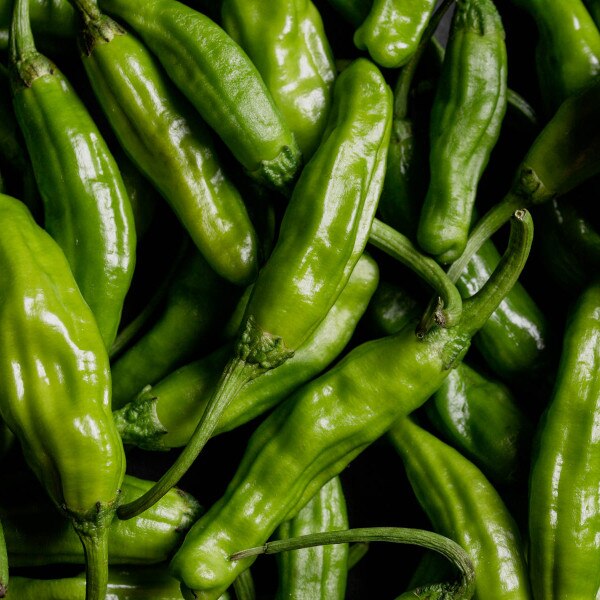 Image of Pepper Shishimai: Thailand Seeds (25 seeds/pack) 6