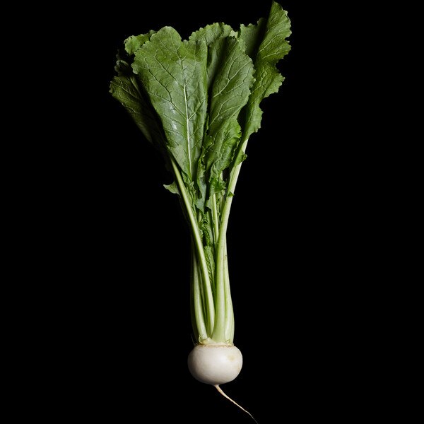 Image of Turnip Sweet Kabu Seeds (250 seeds/pack) 4