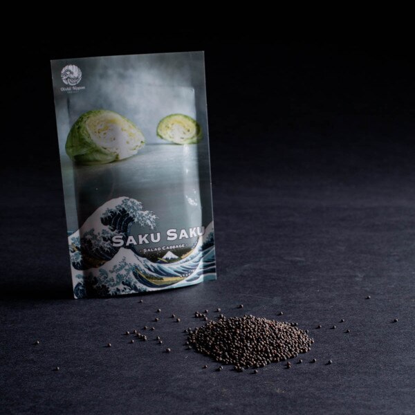 Image of Cabbage Saku Saku Seeds (100 seeds/pack) 2