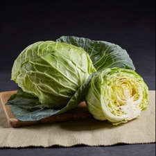 Cabbage Saku Saku Seeds (100 seeds/pack) hover-image