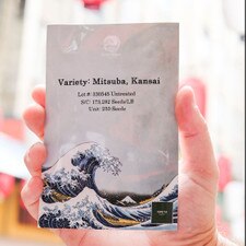 Mitsuba Kansai Seeds (250 seeds/pack)
