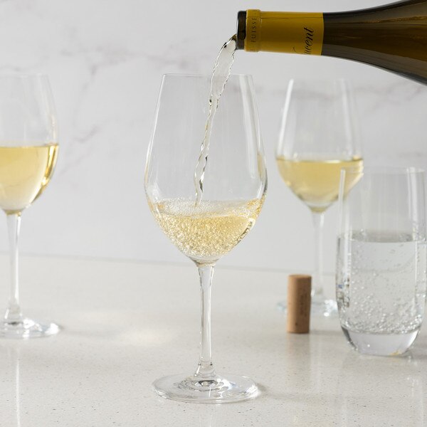 Image of Korin Sena Chardonnay Glass (Set of 6) 5