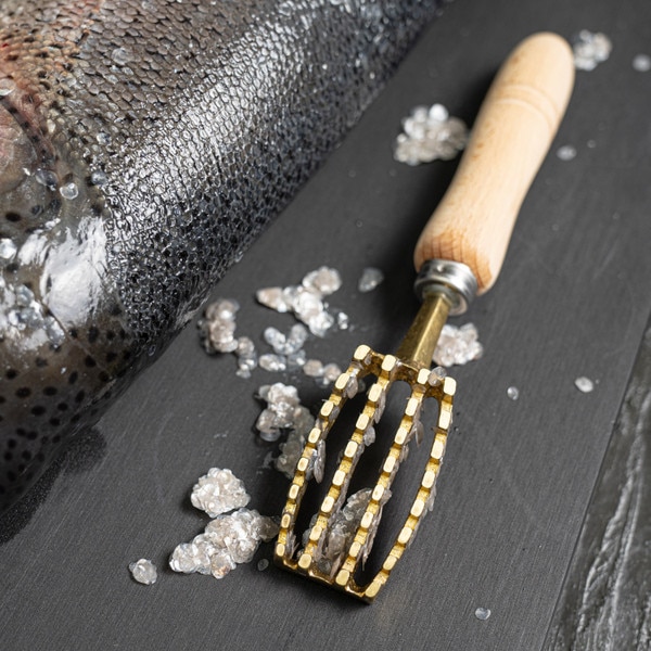 Image of Brass Fish Scaler (Urokotori) 5
