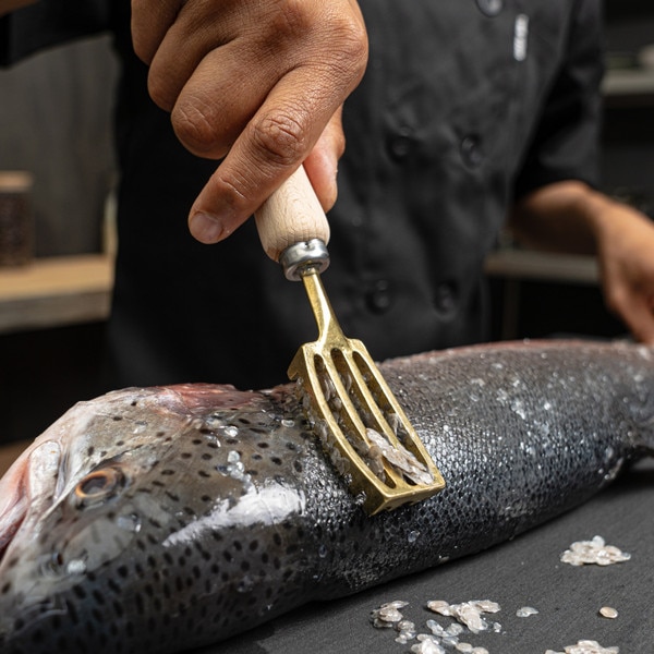 Image of Brass Fish Scaler (Urokotori) 6