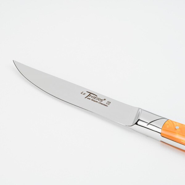 Image of Le Thiers Avantage Steak Knives w/ Mixed Colors Acrylic Handles (Set of 6) 5