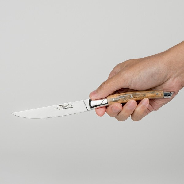Image of Le Thiers Prestige Steak Knives Mixed Mammoth Handle (Set of 6) 6