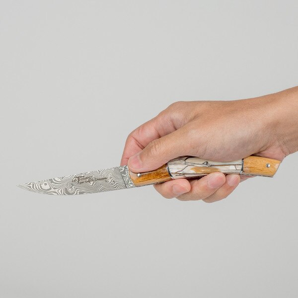 Image of Le Thiers Pirou Tri-Bone Folding Knife 7