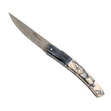 Le Thiers Pirou Bone And Mammoth Pulp Damascus Folding Knife