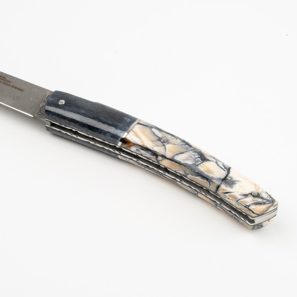 Image of Le Thiers Pirou Bone And Mammoth Pulp Damascus Folding Knife 5