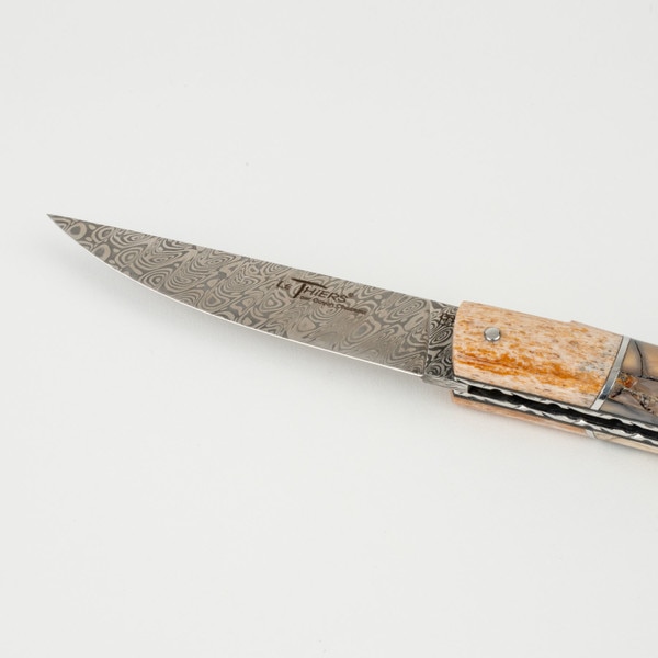 Image of Le Thiers Pirou Mammoth Pulp and Brown Fossilized Coral Damascus Blade Folding Knife 8.5" 4