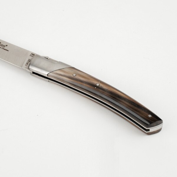 Image of Le Thiers Pirou Flammee Blond Solid Cattle Horn Handle Folding Knife 3.75" 5
