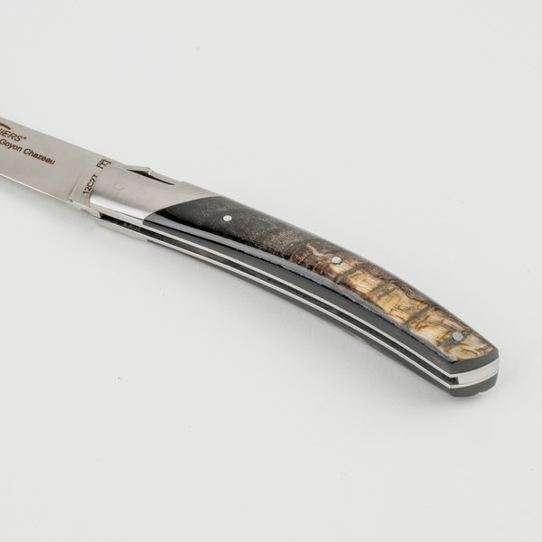 Image of Le Thiers Pirou Dark Ram Horn Handle Folding Knife 3.75" 5