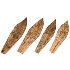 Dry Bamboo Skin