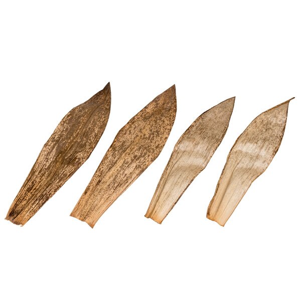 Image of Dry Bamboo Skin 2