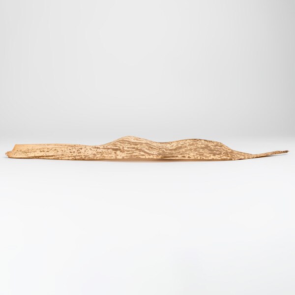 Image of Dry Bamboo Skin 4
