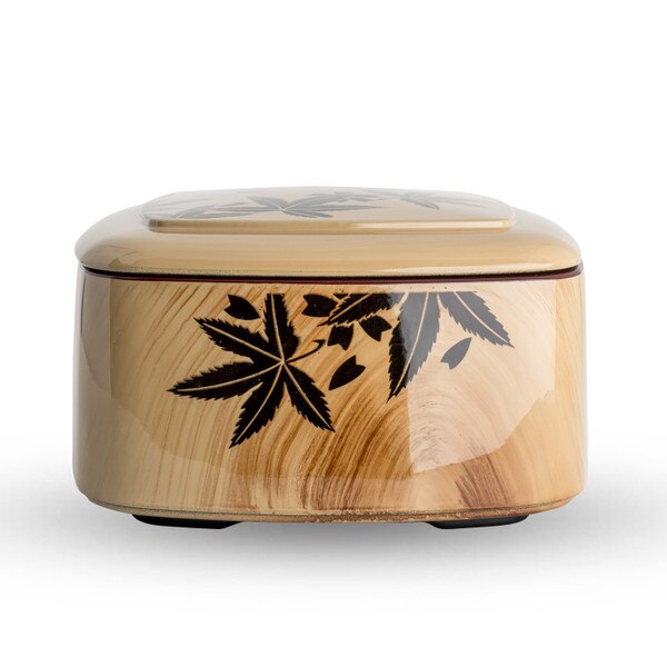Image of Momiji Square Chirashi Box 2