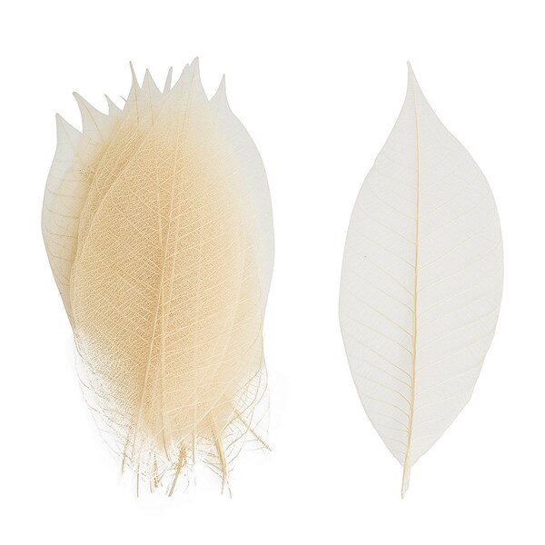 Image of Watermarked Leaf White 3" 1
