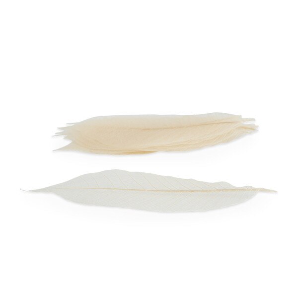 Image of Watermarked Leaf White 3" 2