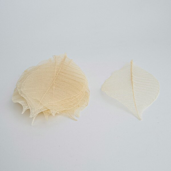 Image of Watermarked Leaf White 3" 3