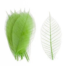 Watermarked Leaf Green 13cm