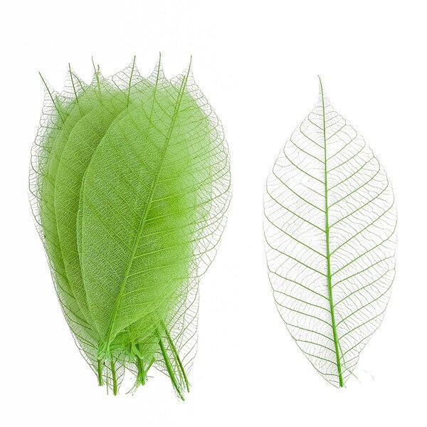 Image of Watermarked Leaf Green 13cm 1