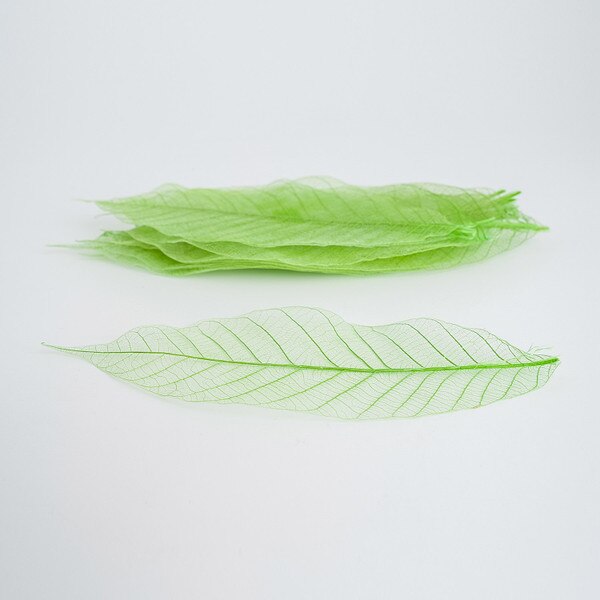 Image of Watermarked Leaf Green 13cm 2
