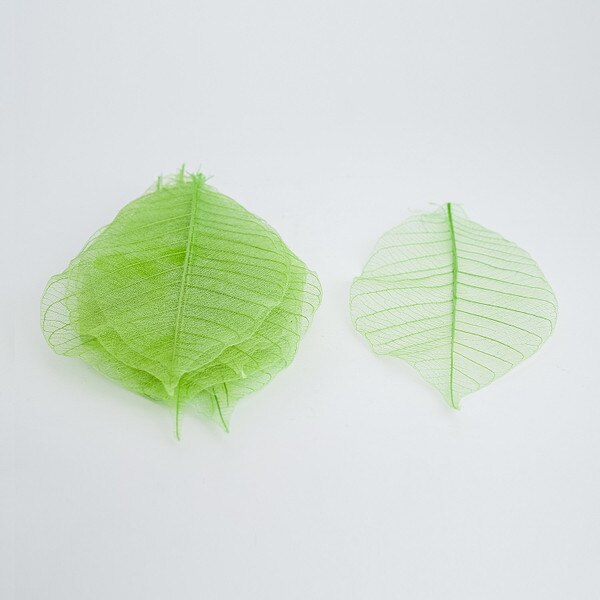 Image of Watermarked Leaf Green 13cm 3