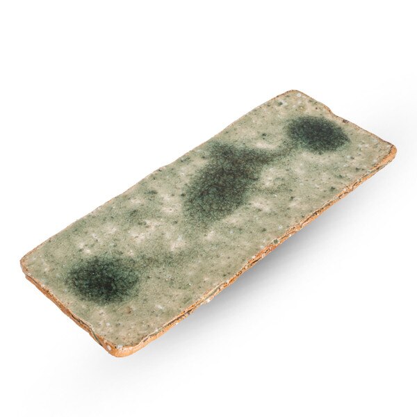 Image of Green Moss Rectangular Plate 10" 1