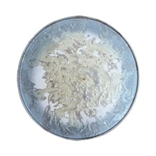 Splatter Textured Flat Plate 9"