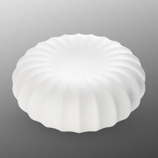 Kikuwari Hollow Plate 3.75"