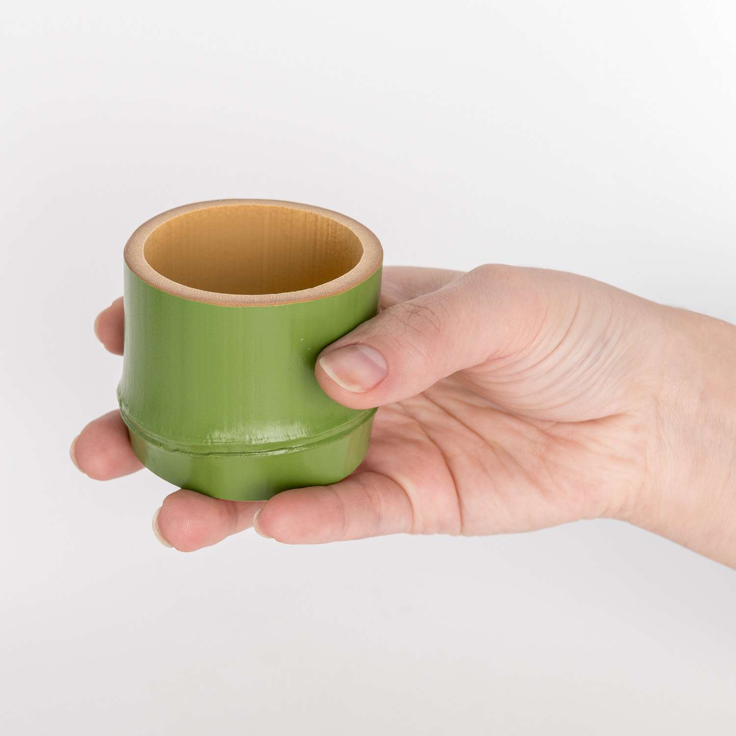 SAC-004.05.jpg?resizeid=3&