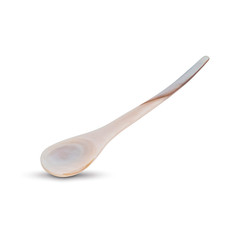 Rose Shell Spoon